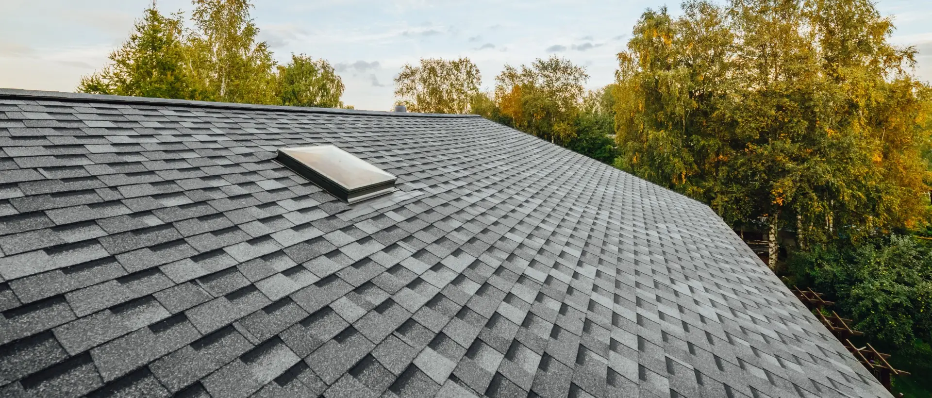 Shingle Roof Replacement